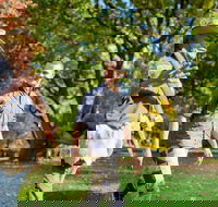 Aboriginal Heritage Walk - Royal Botanic Gardens Victoria Melbourne Gardens - Darwin Holiday