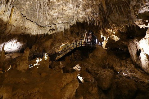 Ngilgi Cave Semi-guided Tour - Darwin Holiday 2