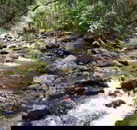 Springbrook Full Day Tour - Darwin Holiday