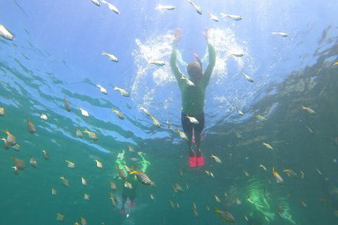 Manly Snorkel Trip And Nature Walk With Local Guide - Darwin Holiday 0