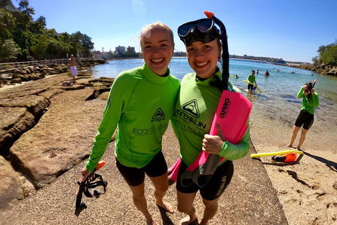 Manly Snorkel Trip And Nature Walk With Local Guide - Darwin Holiday 1