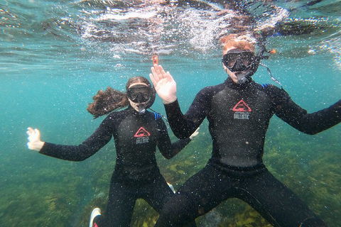 Manly Snorkel Trip And Nature Walk With Local Guide - Darwin Holiday 3