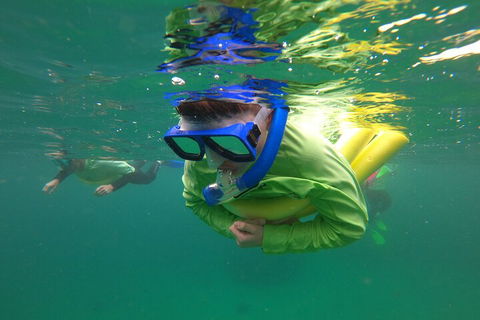 Manly Snorkel Trip And Nature Walk With Local Guide - Darwin Holiday 5