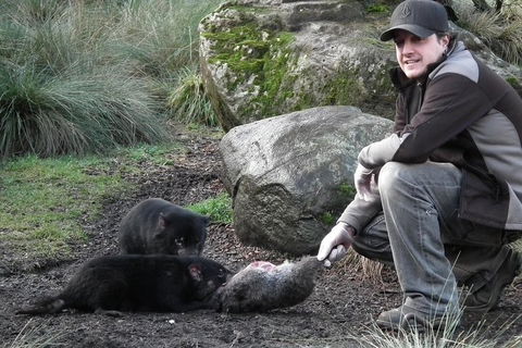 After Dark Tasmanian Devil Feeding Tour At Cradle Mountain - Darwin Holiday 2