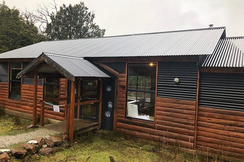 After Dark Tasmanian Devil Feeding Tour At Cradle Mountain - Darwin Holiday 3