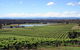 Private Hunter Valley Wine-Tasting Day Tour From Sydney - thumb 0