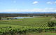 Private Hunter Valley Wine-Tasting Day Tour From Sydney - thumb 1