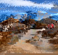 The Big Wave Rock Private Day Tour - Darwin Holiday