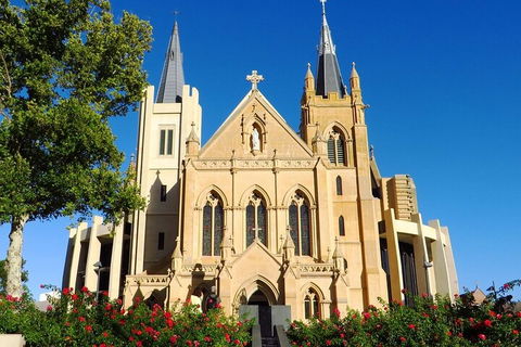 Perth Scavenger Hunt: Perched On A Swan - Darwin Holiday 1