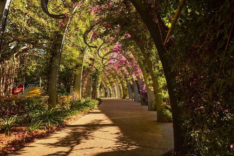Brisbane Scavenger Hunt: Brisbane's South Bank! - Darwin Holiday 3