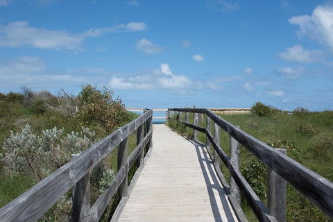 Yanchep & Lancelin - Wildlife, Cave And Sands - Darwin Holiday 2