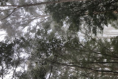 3d/2n Themed Camping Getaway - Private Campgrounds And National Parks - Darwin Holiday 5