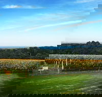 Yarra Valley Private Car Winery Tour And Chocolate.1-7 Passengers One Car Price - Darwin Holiday