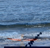 Private Day Tour of Phillip Island Wildlife and Brighton Beach - Darwin Holiday