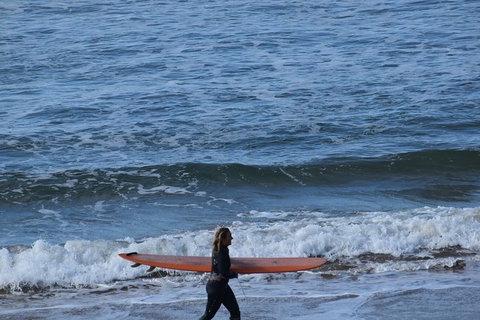 Private Day Tour Of Phillip Island Wildlife And Brighton Beach - Darwin Holiday 0