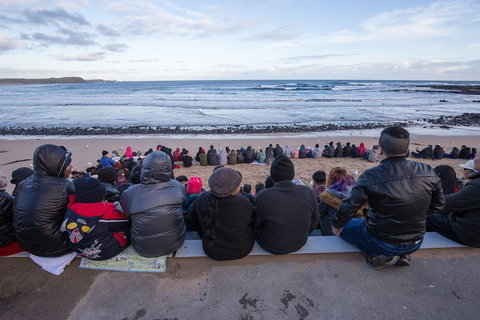 Private Day Tour Of Phillip Island Wildlife And Brighton Beach - Darwin Holiday 1