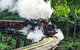Puffing Billy And Healesville Sanctuary Scenic Tour - thumb 1