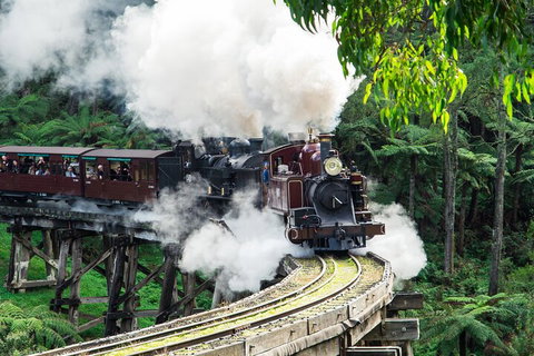 Puffing Billy And Healesville Sanctuary Scenic Tour - Darwin Holiday 1
