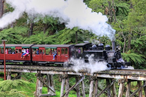 Puffing Billy And Healesville Sanctuary Scenic Tour - Darwin Holiday 2