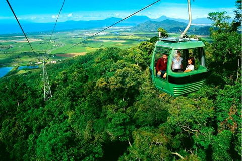 4-Day Cairns Ultimate Combo: Daintree Rainforest, Reef, Kuranda & Paronella Park - Darwin Holiday 1