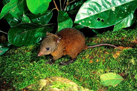 3-Day Small-Group Tour Of North Queensland With Pick Up - Darwin Holiday 0