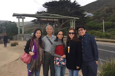 Private One Day Great Ocean Road Tour - Darwin Holiday 5