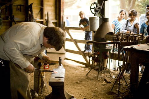 1 Day Exclusively Private Tour Of Phillip Island & The Penguin Parade - Darwin Holiday 4