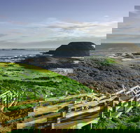 Full-Day Private Australian Wildlife Tour of Phillip Island - Darwin Holiday