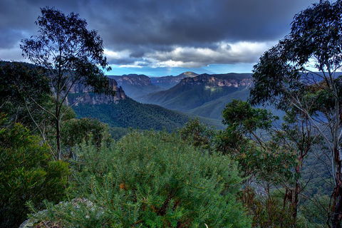 Ultimate Blue Mountains And Wildlife Tour - Darwin Holiday 1