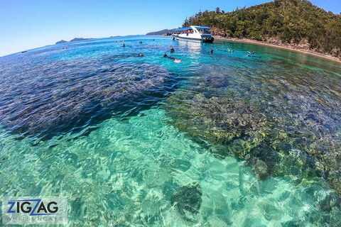 Whitehaven Beach Day Tour With Snorkel In Whitsundays Island - Darwin Holiday 5