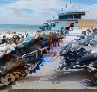 Bondi  Sydney Sights Trike Tour 1.5hrs - Darwin Holiday