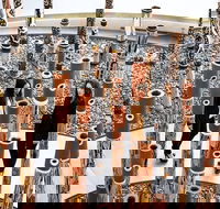 Sydney - Canberra Trip via Grand Pacific Drive Stay Overnight - Darwin Holiday