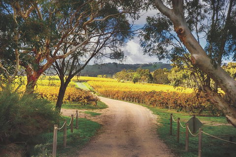 McLaren Vale Winery Small Group Tour With Wine Tasting And Lunch - Darwin Holiday 1
