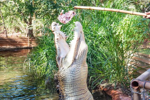 3 In 1 Tour: Matsoâ€™s Brewery, Broome Museum & Malcolm Douglas Crocodile Park - Darwin Holiday 3
