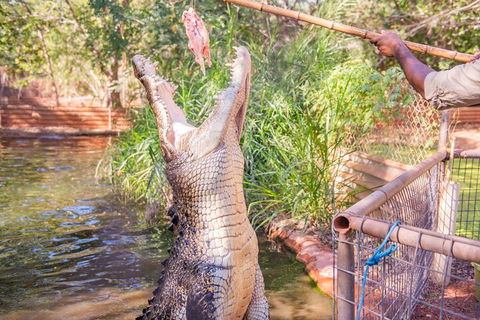 Malcolm Douglas Crocodile Park Tour Including Transportation - Darwin Holiday 5