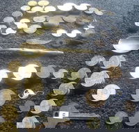 Melbourne Treasure Hunt - Darwin Holiday