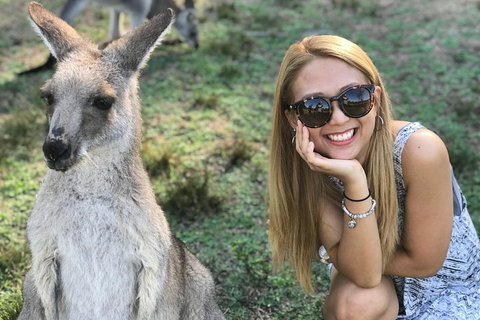 PJ Blue Mountains Supreme Day Tour - Darwin Holiday 2