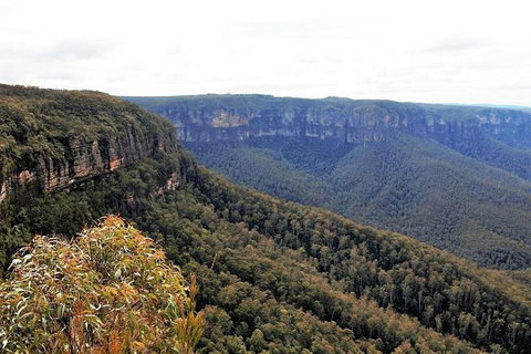 Blue Mountains - Darwin Holiday 3