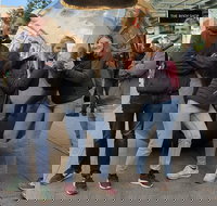 Guided Walking Tour in Adelaide - Darwin Holiday