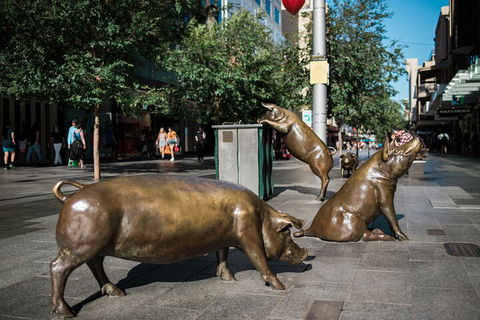 Guided Walking Tour In Adelaide - Darwin Holiday 4