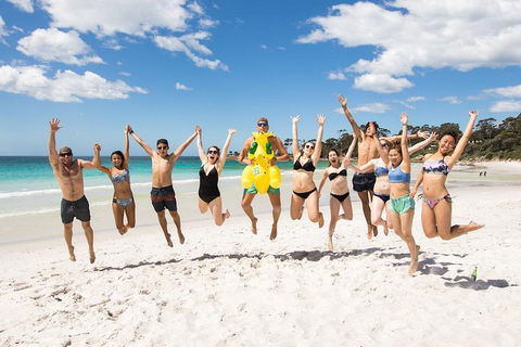 5-Day Lap Of Tasmania Tour From Hobart (flexible Ticket) - Darwin Holiday 4