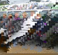 Yarra Valley Boutique Winery Tour from Melbourne - Darwin Holiday