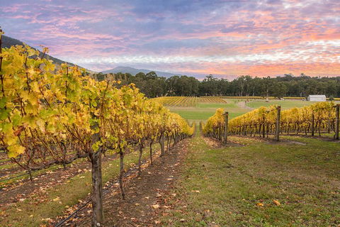 Yarra Valley Boutique Winery Tour From Melbourne - Darwin Holiday 3