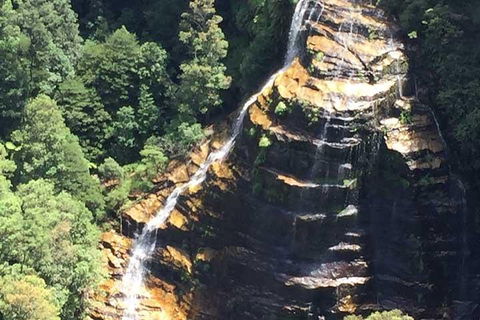 Private Blue Mountains Tour With Kangaroo And Koala Experience - Darwin Holiday 5