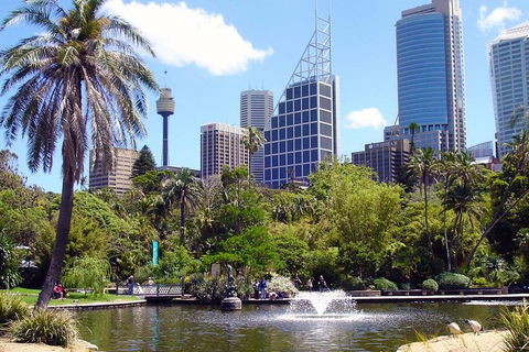 Private Sydney Half Day Tour Including Sydney Opera House And Bondi Beach - Darwin Holiday 4