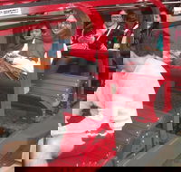 Full-Day Private Blue Mountains Tour with River Cruise - Darwin Holiday