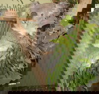 Private All Blue Mountains Day Tour - Darwin Holiday