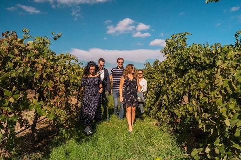 Barossa Valley Private Tour (from 2 To 11 People) - Darwin Holiday 0