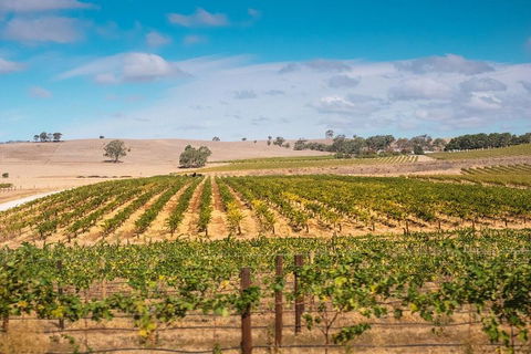Barossa Valley Private Tour (from 2 To 11 People) - Darwin Holiday 2