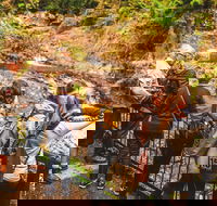 Full-day Springbrook National Park Tour from the Gold Coast - Darwin Holiday